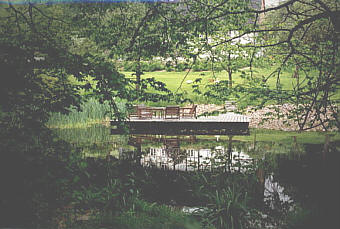  Natürlicher Teich mit Holzterrasse