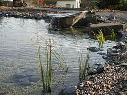 Schwimmteich nach dem TeichMeister-Prinzip