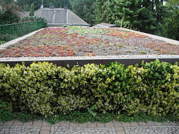 Dachbegrünung eines Garagendaches