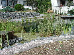 Schwimmteich mit Terrassenansicht